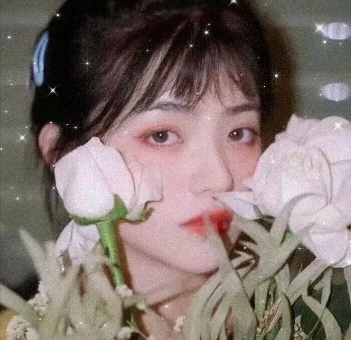 推荐6
