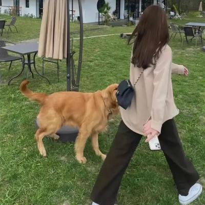 追恶